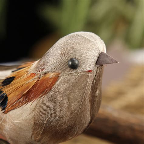 birds are fake com